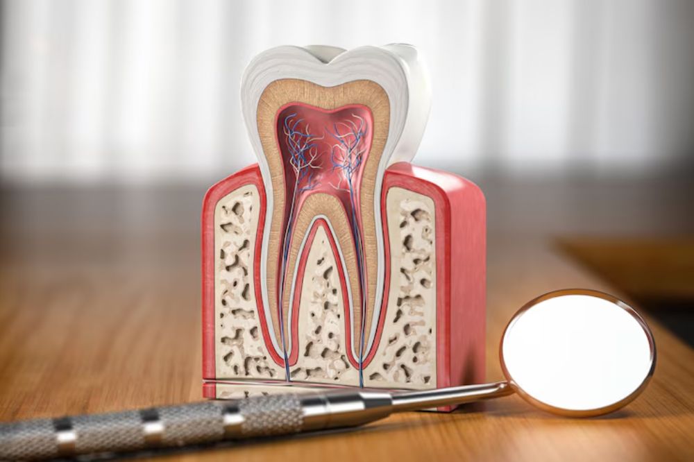 is-smoking-after-a-root-canal-harmful-to-your-tooth